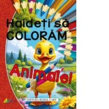 Haideti sa coloram... Animale!