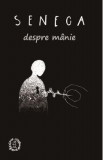 Cumpara ieftin Despre manie - Seneca