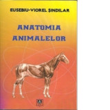 Anatomia animalelor - Eusebiu Viorel Sindilar