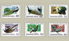 Ungaria 1977 - Pasari, pauni, serie neuzata