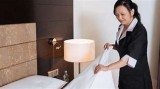 Avem muncitori disponibili din Asia,Africa,etc. Bărbați și femei.