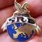 I.429 INSIGNA PIN SRD EUROPA h25mm email