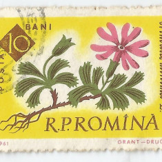 **Romania, LP 524/1961, Cent. Gradinii Botanice din Bucuresti, eroare, oblit.