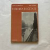 Anghel Dumbraveanu - Intrarea in cetate. Timisoara &ndash; poeme si privelisti