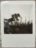 Concurs, Fra-Diavolo la tripla// fotografie perioada interbelica