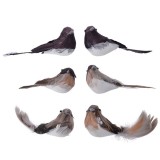 Cumpara ieftin Decoratiune - Bird Foam Feather on Clip - mai multe modele | Kaemingk