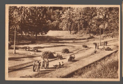 CPIB 15562 CARTE POSTALA - SLANIC MOLDOVA. IN PARC, RPR, LIBRARIA NOASTRA foto