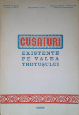 CUSATURI EXISTENTE PE VALEA TROTUSULUI-VALERIAN GHINET, C.V. TOMA SI COLAB. foto