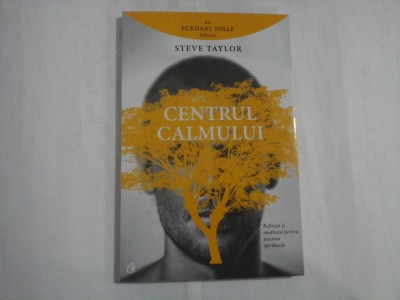 CENTRUL CALMULUI - STEVE TAYLOR foto