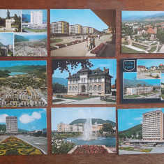 Lot 15 carti postale vintage cu Orasul Piatra Neamt / CP1