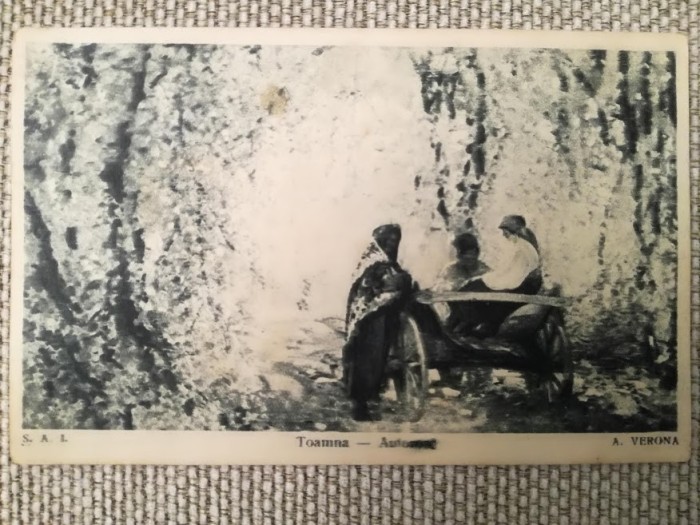 CP 1925 Toamna / A. Verona, Cartea Rom. ștampilă Cercul Studențesc Ilfovean