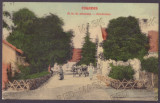 3125 - FAGARAS, Brasov, Romania - old postcard - unused, Necirculata, Printata