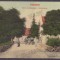 3125 - FAGARAS, Brasov, Romania - old postcard - unused