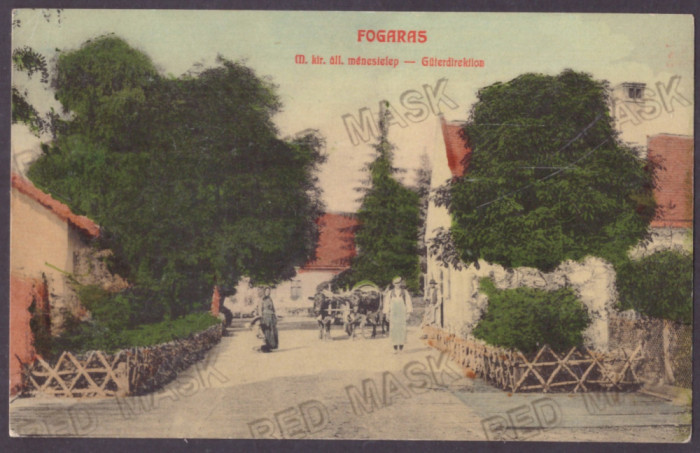 3125 - FAGARAS, Brasov, Romania - old postcard - unused