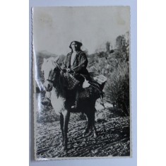 TARANCA DE PE VALEA JIULUI , FOTOGRAFIE FACUTA DE SERVICIUL FOTOGRAFIC AL O.N.T. , MONOCROMA, PERIOADA INTERBELICA