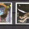 Sharjah 1972 Space, used G.105
