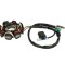 Magnetou (stator aprindere) scuter GY6 4T AC 125-150cc &ndash; 8 poli
