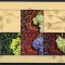 ROMANIA 2005 - Viticultura / colita MNH