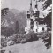 bnk cp Sinaia - Muzeul Peles - necirculata