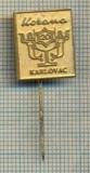Y 409 INSIGNA- KORONA -KARLOVAC- CROATIA -IUGOSLAVIA -PENTRU COLECTIONARI