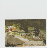 bnk cp Cabana Brusturet - Jud Arges - Vedere- necirculata
