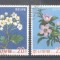 Korea 1975 Flowers, used AK.018