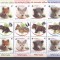 PUI DE ANIMALE ,TRIPTIC CU VINIETA VERTICAL,2012,Lp.1960c,MNH ** ROMANIA.