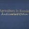 Agricultura In Romania Anilor 30 - Coord.: Ilie Sarbu, Alexandru Brad