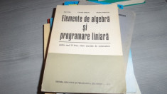 Elemente de algebra si programare liniare &amp;amp;#8211; Ion D. Ion, Corneliu Zidaroiu, Nicolae Popovici foto