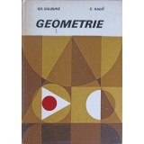 GEOMETRIE-GH. GALBURA, F. RADO-352855