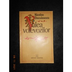 NICOLAE DOCSANESCU - VALEA VOIEVOZILOR