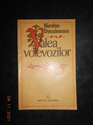 NICOLAE DOCSANESCU - VALEA VOIEVOZILOR foto