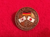 Insigna fotbal - Federatia de Fotbal din GERMANIA (CM 2002 Korea/JAPONIA)