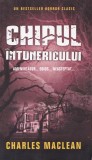 Charles MacLean - Chipul intunericului