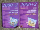 Br&acirc;nzei și Negrilă, Algebră, Geometrie clasa VII 2 VOLUME
