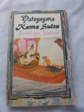 Carte kamasutra