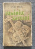 Damian Stănoiu - Luminile satului