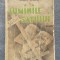 Damian Stănoiu - Luminile satului