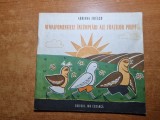 Carte pentru copii - nemaipomenitele intamplari ale fratilor prepe - anul 1990