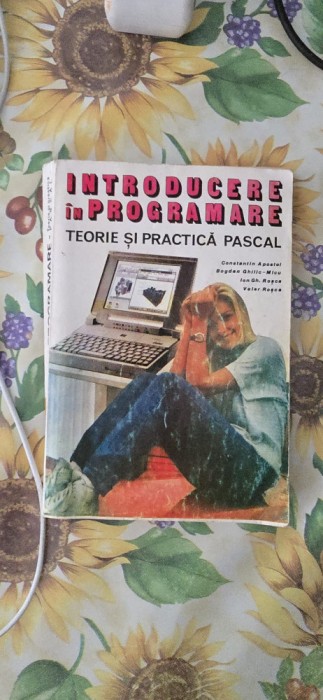 Constantin Apostol Bogdan Ghilic Micu Ion Gh Rosca Valer Rosca - Introducere in programare teorie si practica pascal