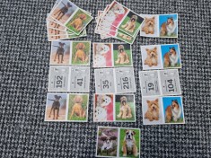 Stiker animale foto