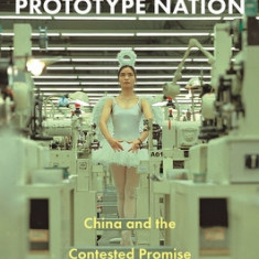 Prototype Nation: China and the Contested Promise of Innovation