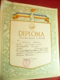 Diploma Cantarea Romaniei Premiul I Pictura Etapa de Masa