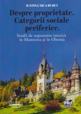 Despre proprietate. Categorii sociale periferice: studii de toponimie istorica foto