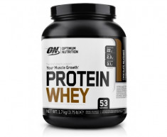 ON Protein Whey 1.7 kg foto