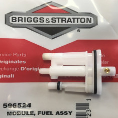 Jiglor Briggs &amp;amp; Stratton 596524 foto