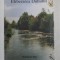 ELIBERAREA DUHULUI de WATCHMAN NEE , ANII &#039;90