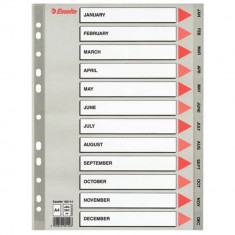 Index A4 Esselte, cu 12 Separatoare Ian-Dec, Plastic, Gri, Index de Plastic Anual cu Separatoare, Index de Plastic cu Separatoare cu Lunile Anului, In