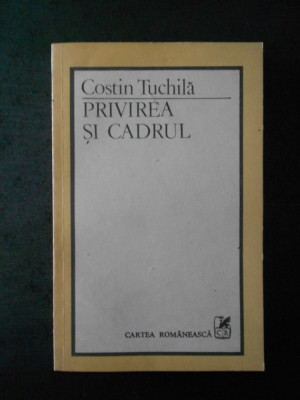 COSTIN TUCHILA - PRIVIREA SI CADRUL foto