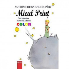 Micul Print - Antoine De Saint-Exupery foto